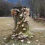 Unterhaus Διαμέρισμα