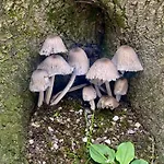 Διαμέρισμα Unterhaus