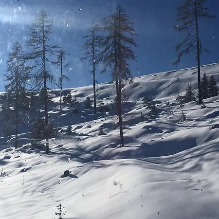 Unterhaus *